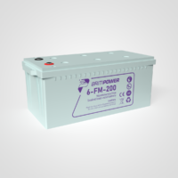 BritiPower - 6-FM-200 Battery