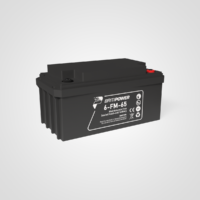 BritiPower - 6-FM-65 Battery